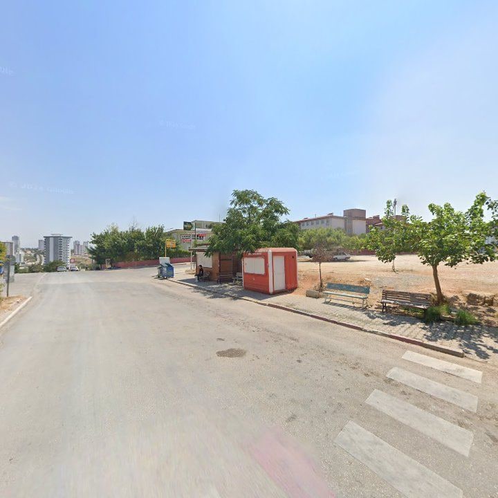 Fotoğraf 8