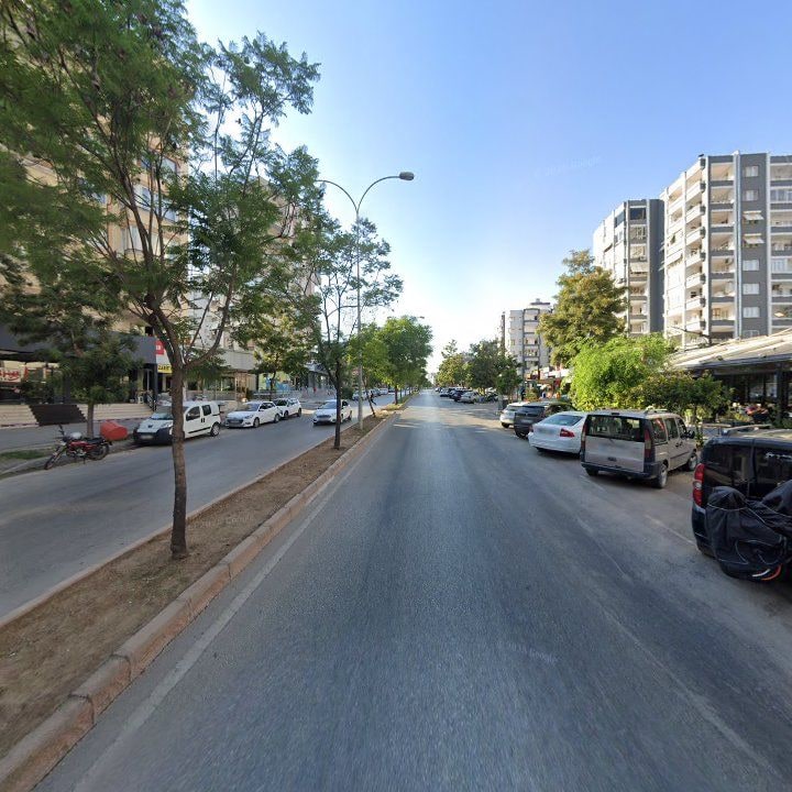 Fotoğraf 8