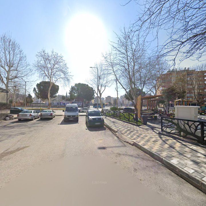 Fotoğraf 7