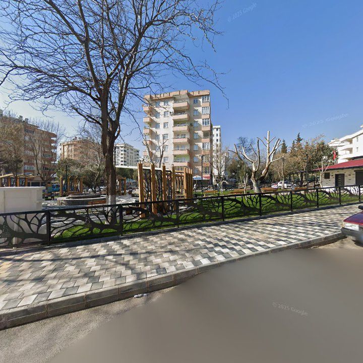Fotoğraf 8