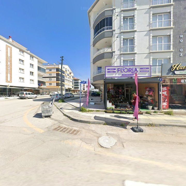 Fotoğraf 3