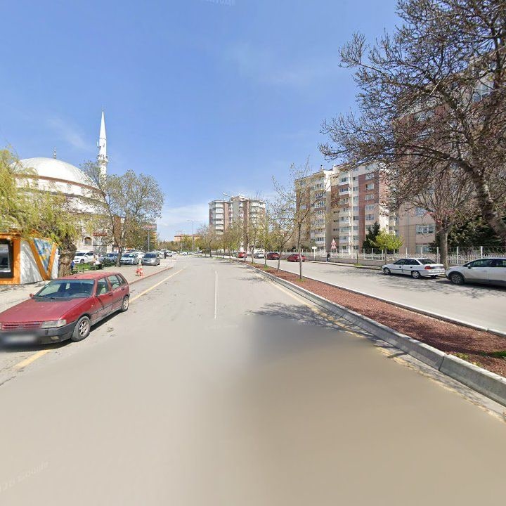 Fotoğraf 9