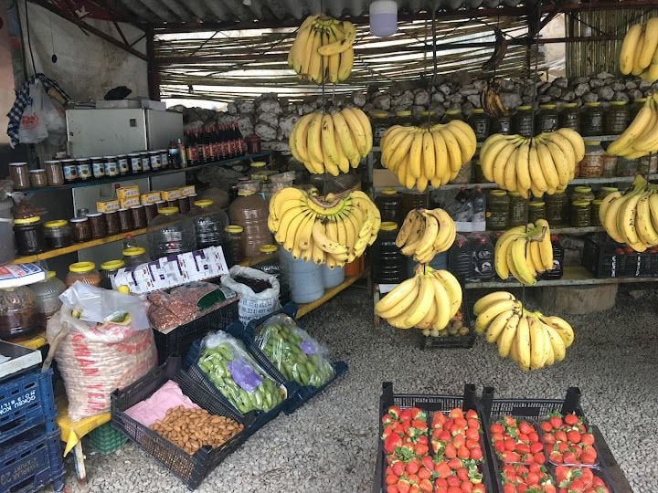 Tatoglu Manav Gözlemeci