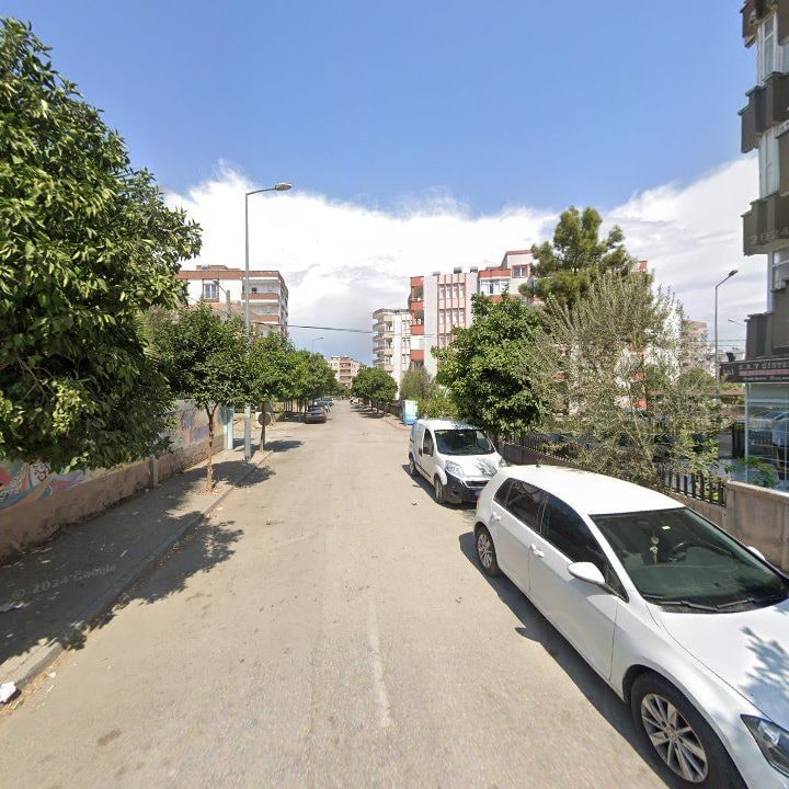 Fotoğraf 8