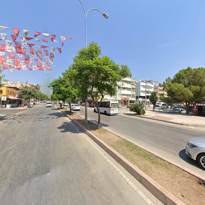 Fotoğraf 8