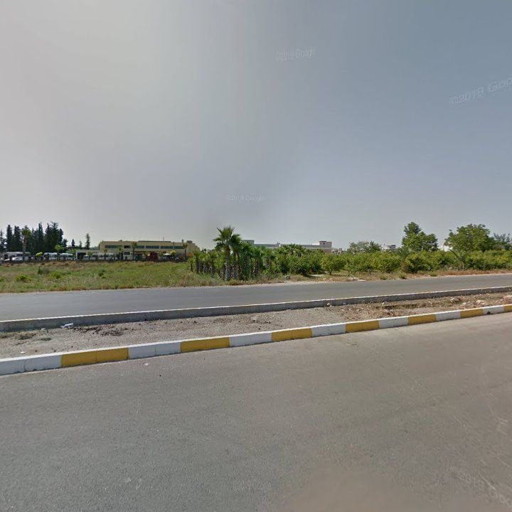Fotoğraf 14