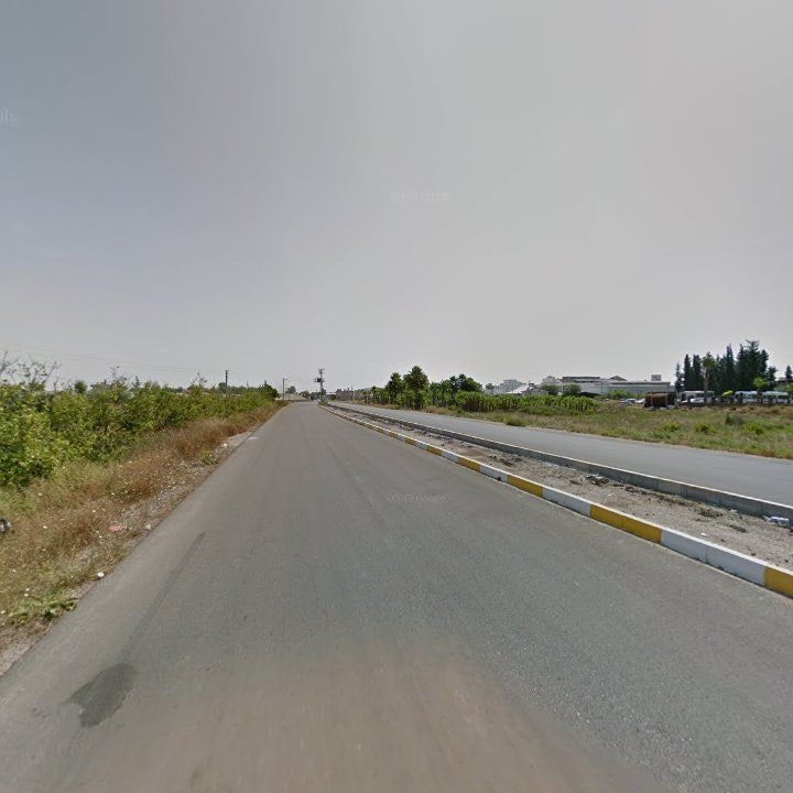 Fotoğraf 13