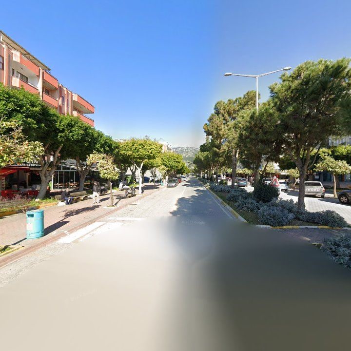 Fotoğraf 12