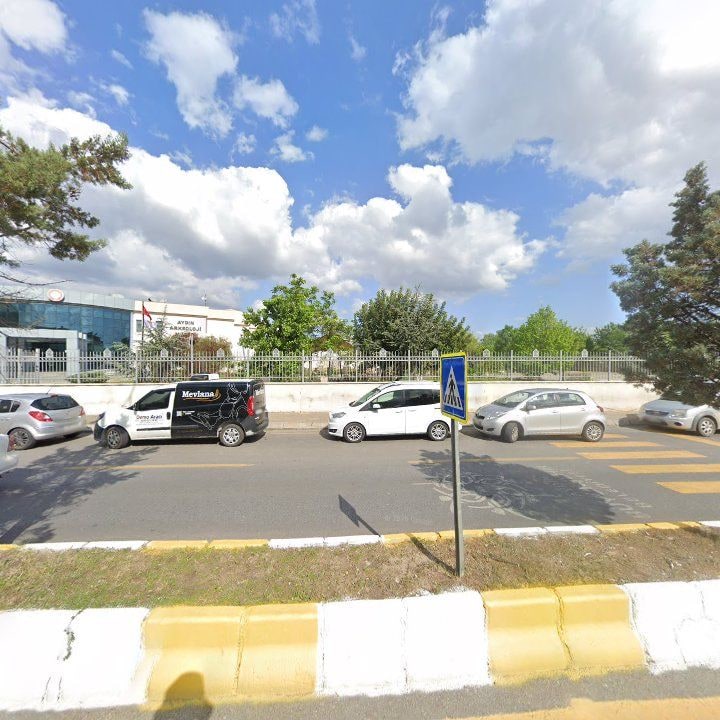 Fotoğraf 12