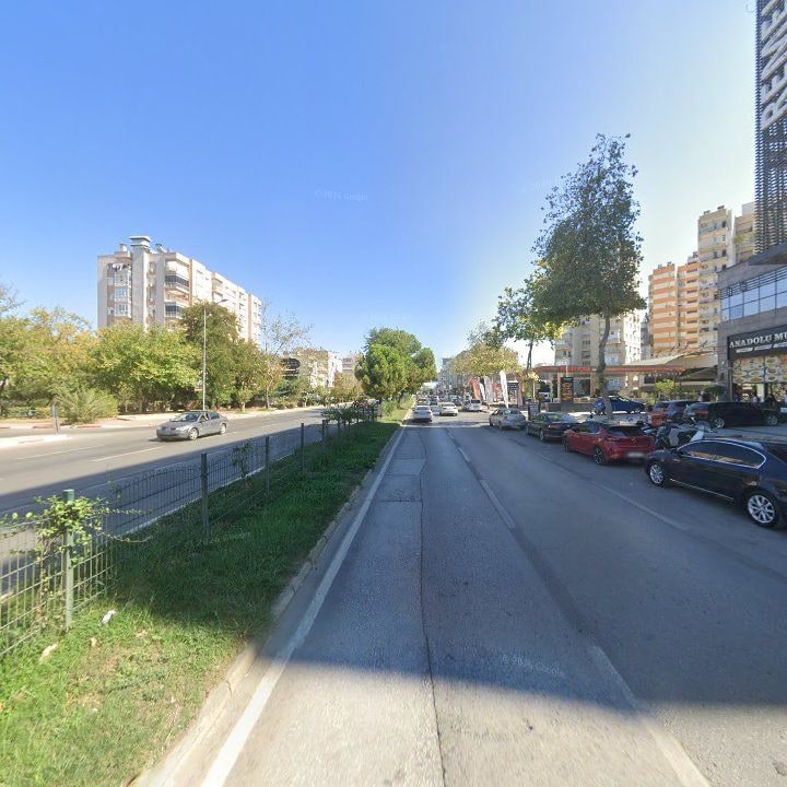 Fotoğraf 14