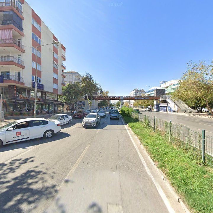 Fotoğraf 12