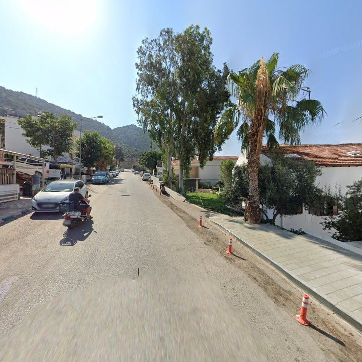 Fotoğraf 14
