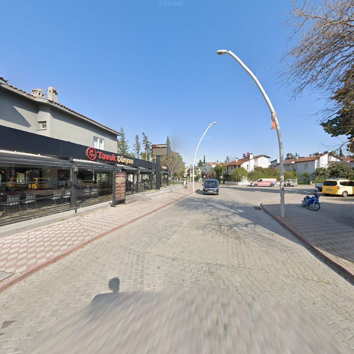 Fotoğraf 12