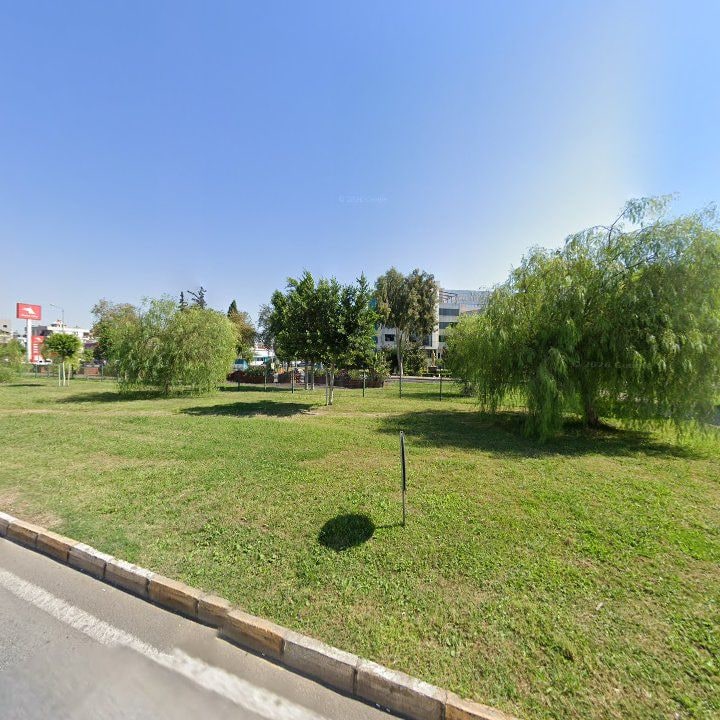 Fotoğraf 15
