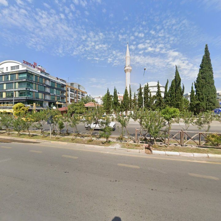 Fotoğraf 13