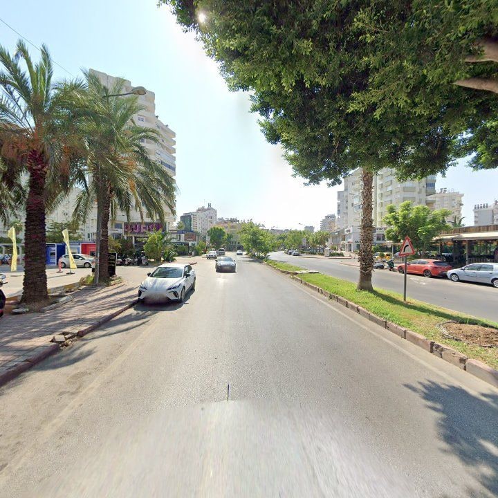 Fotoğraf 13