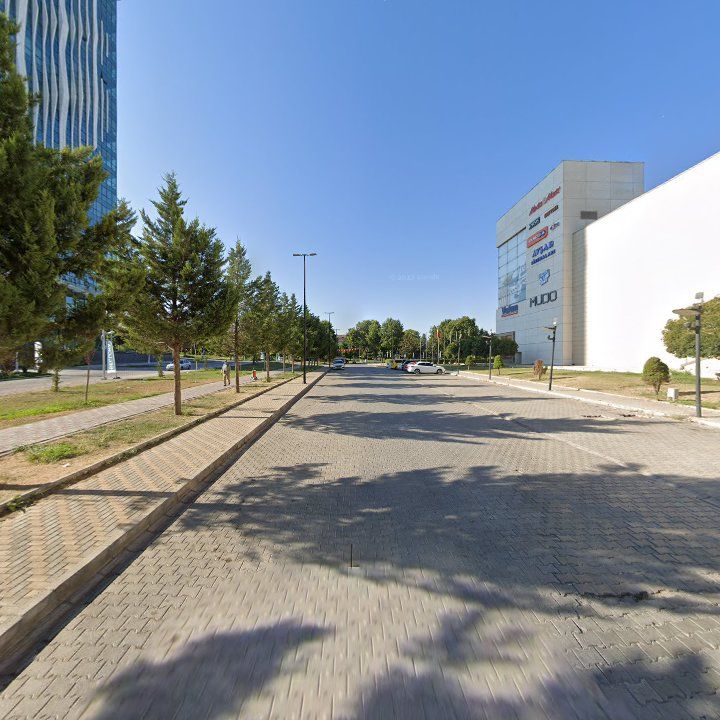 Fotoğraf 11