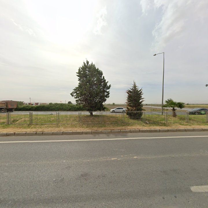 Fotoğraf 12