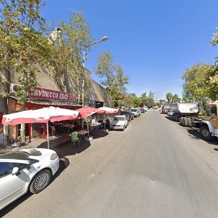 Fotoğraf 3