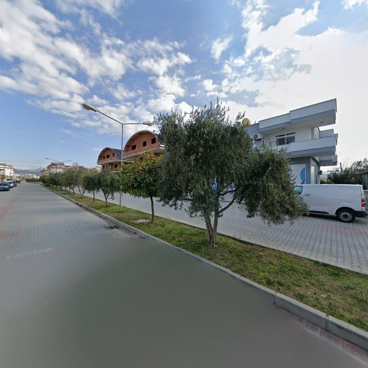 Fotoğraf 11