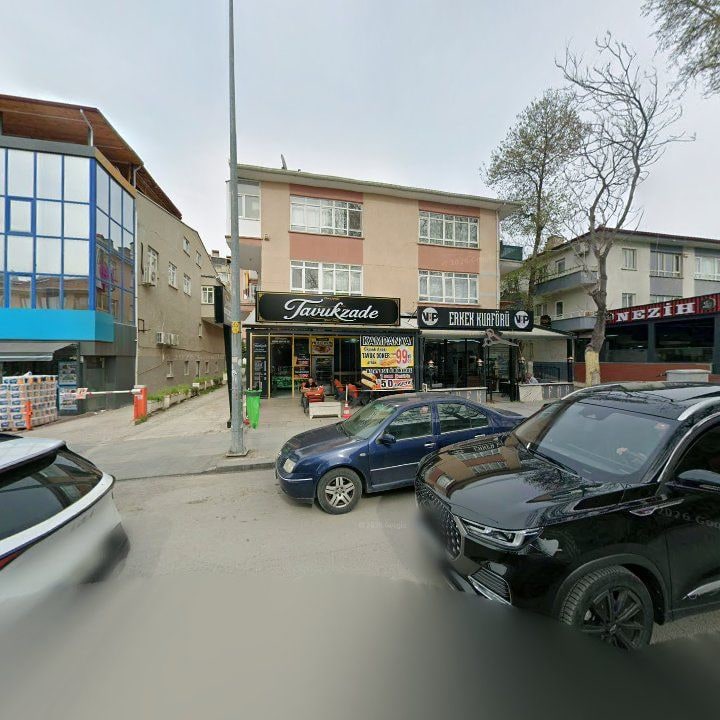 Fotoğraf 7