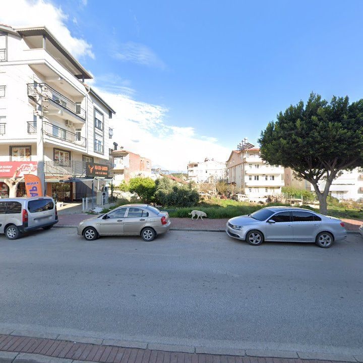 Fotoğraf 8