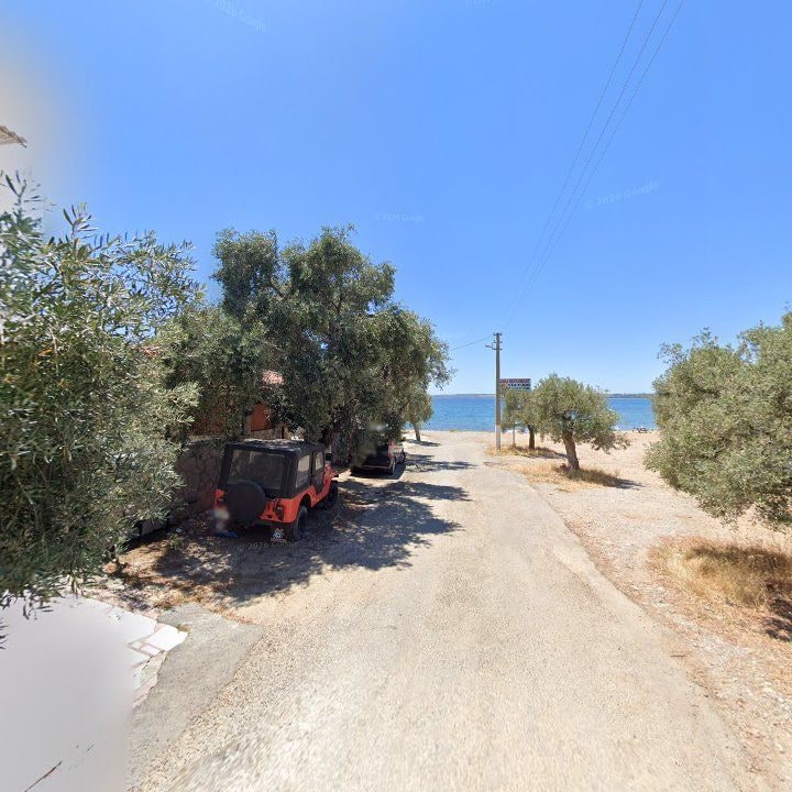 Fotoğraf 10