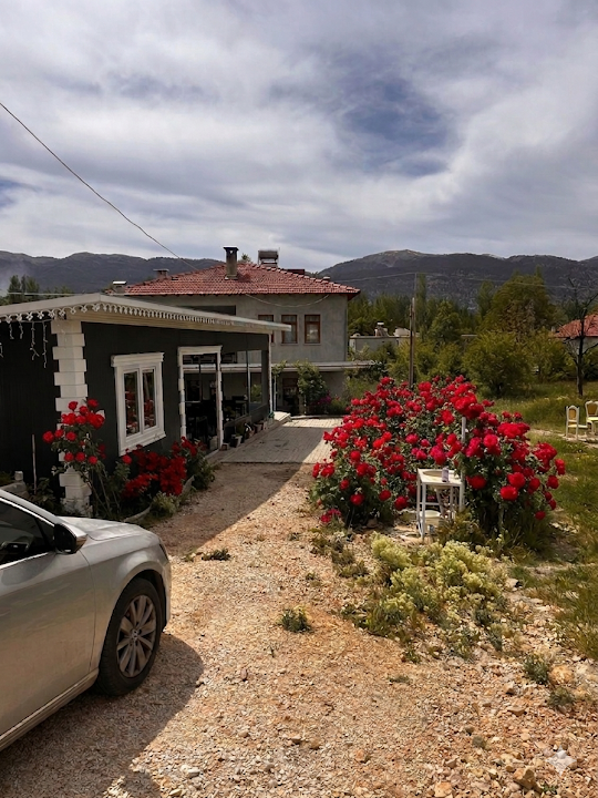 Taylı Çorba, Gözleme Ve Kahvaltı Salonu