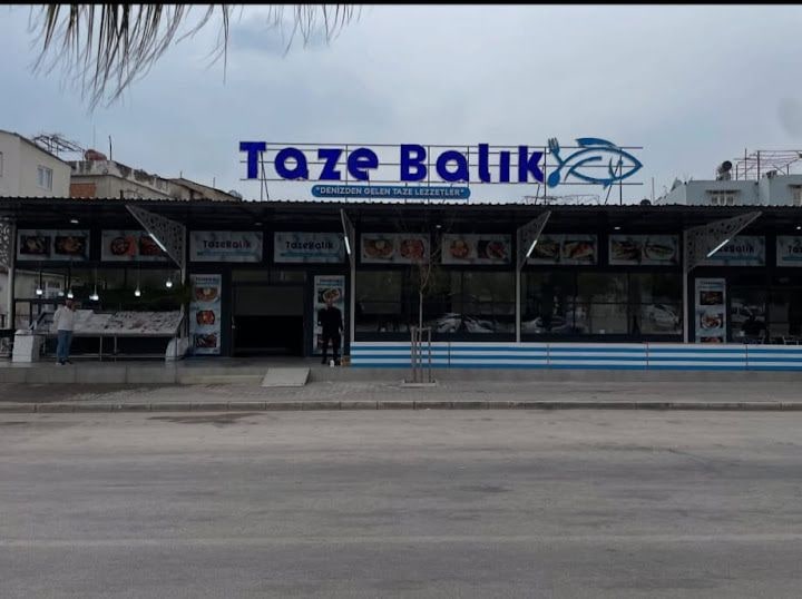 Taze Balık