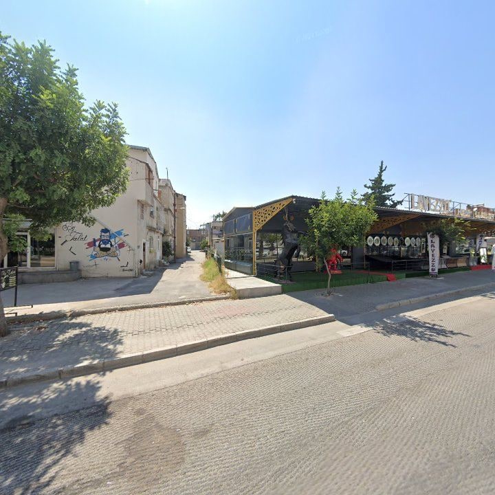 Fotoğraf 3