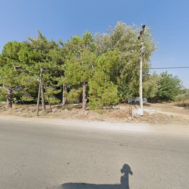 Fotoğraf 8