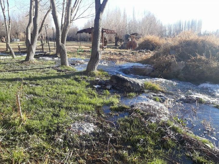 Taze Balık Tesisi