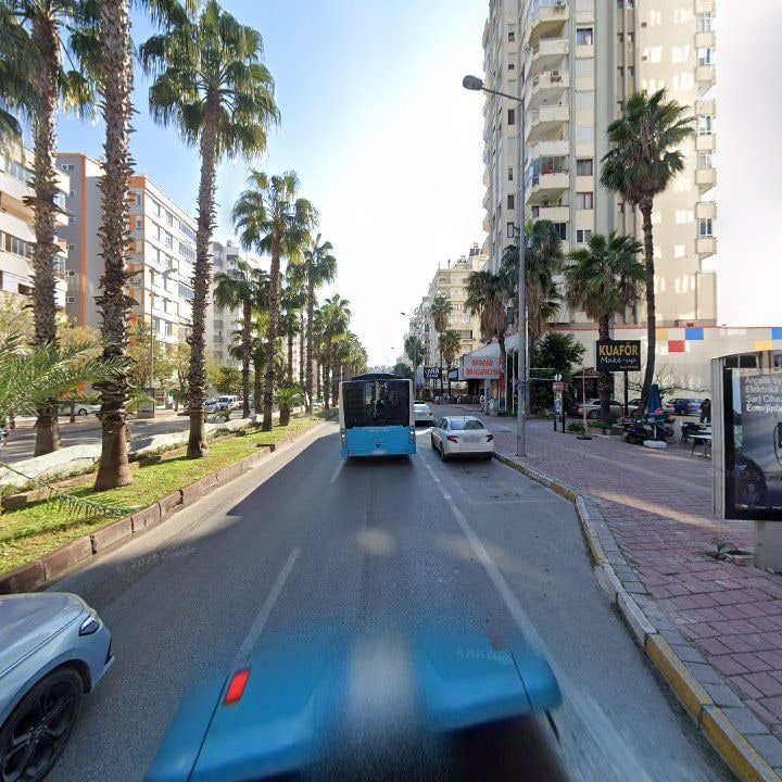 Fotoğraf 8