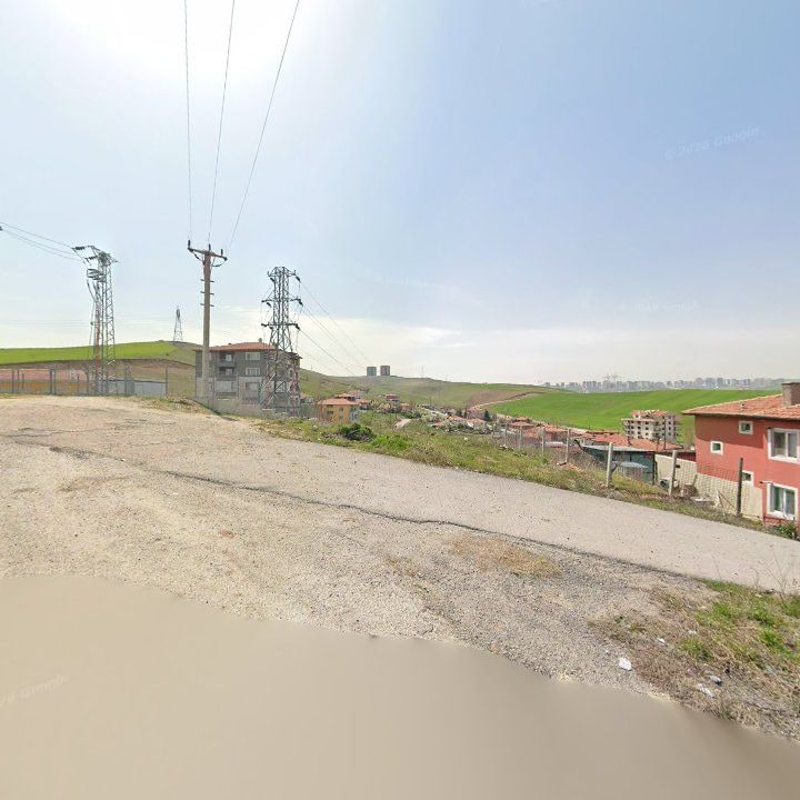 Fotoğraf 9