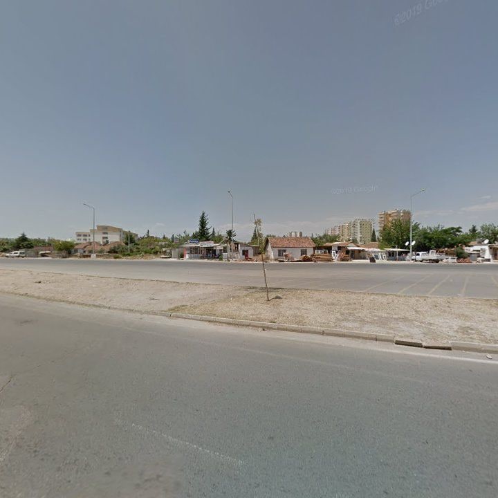 Fotoğraf 8