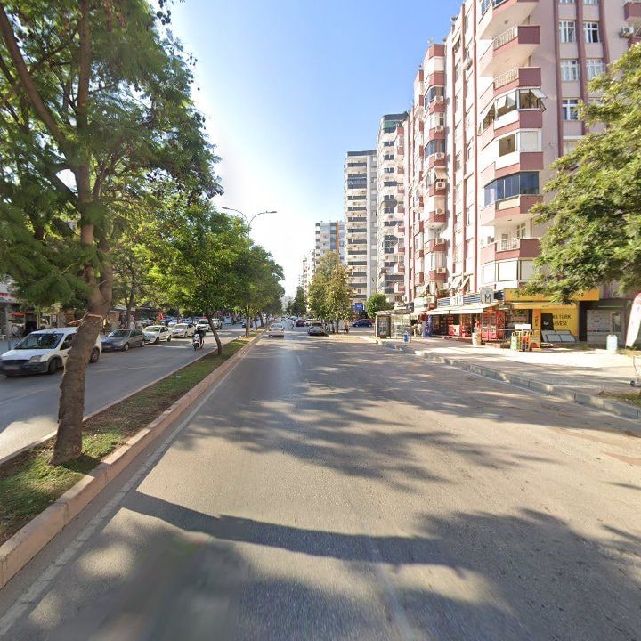 Fotoğraf 10