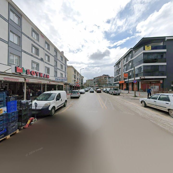 Fotoğraf 10
