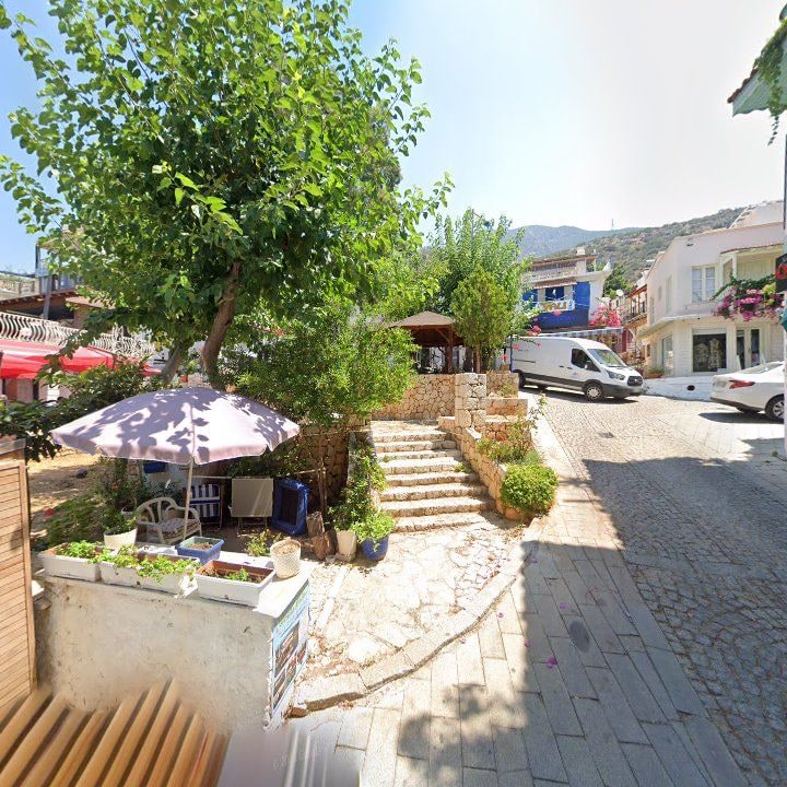 Fotoğraf 9