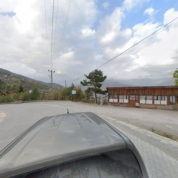 Fotoğraf 9