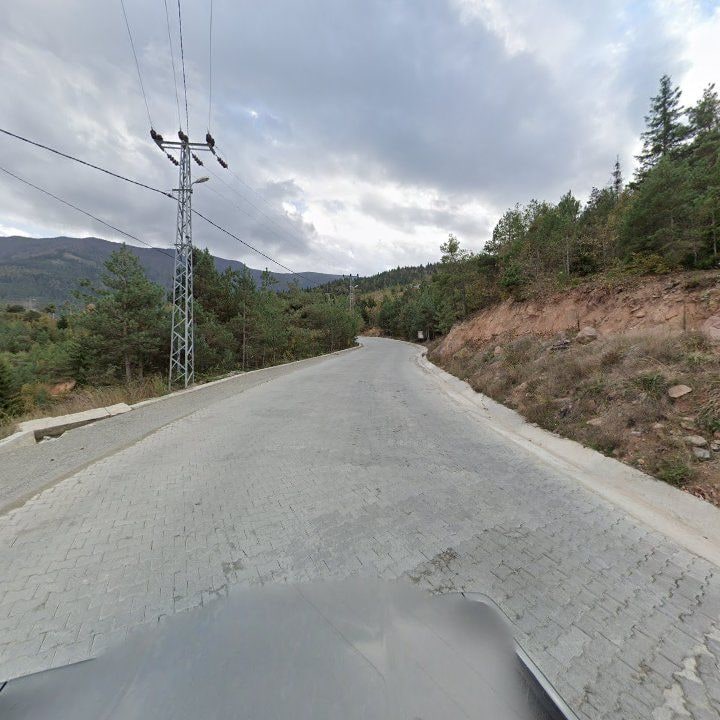 Fotoğraf 7