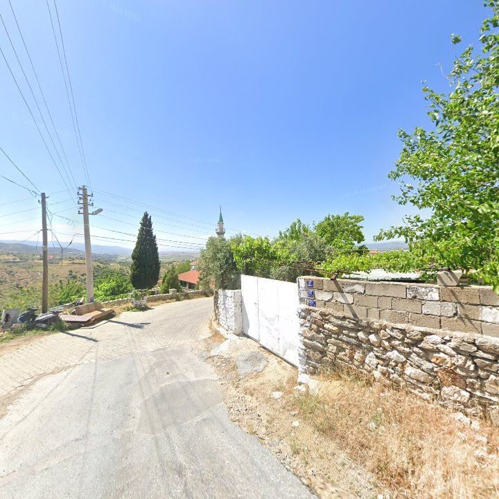 Fotoğraf 9
