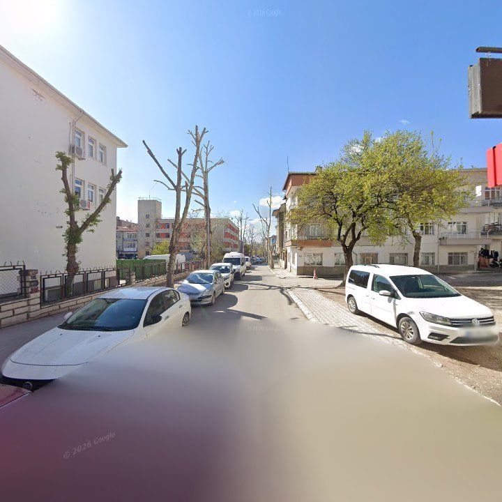 Fotoğraf 8