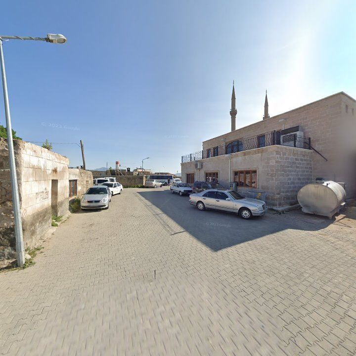 Fotoğraf 3