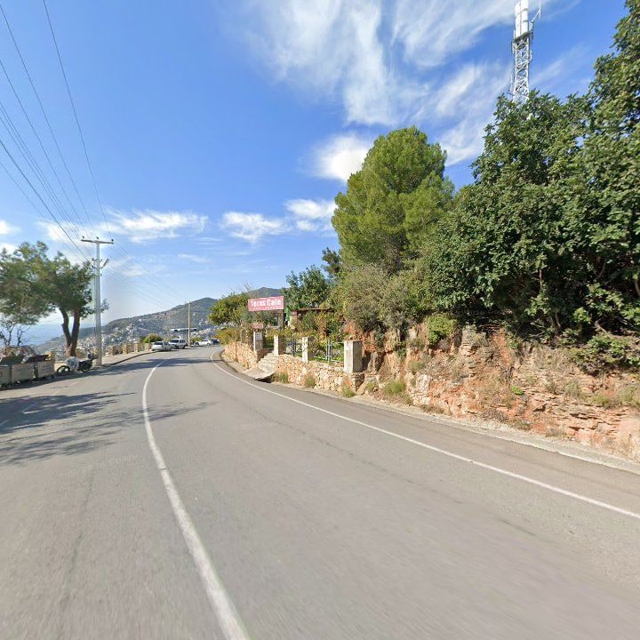 Fotoğraf 15