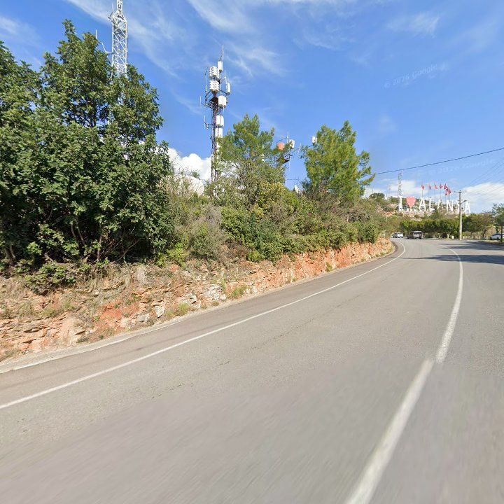 Fotoğraf 16