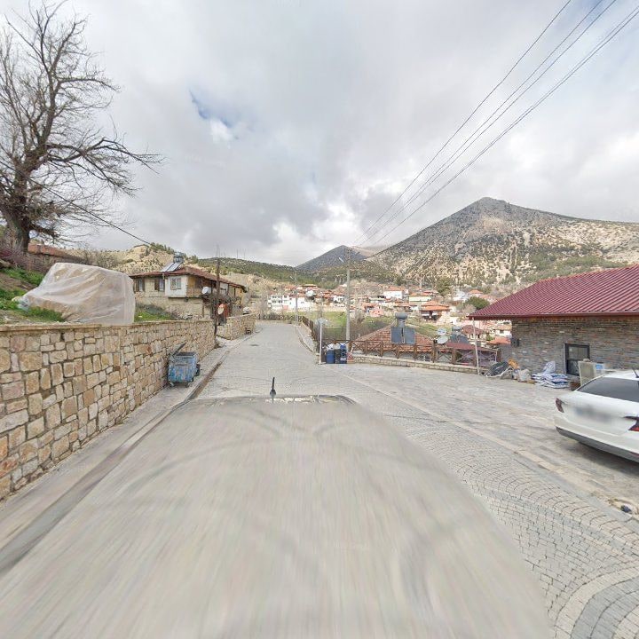 Fotoğraf 11