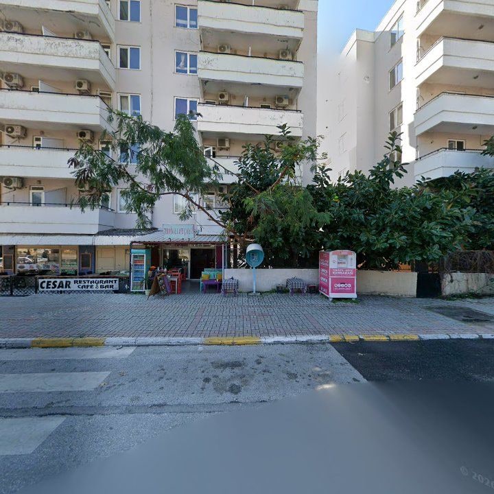 Fotoğraf 3