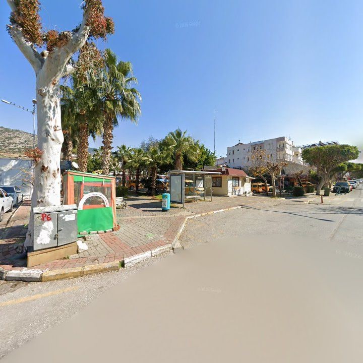Fotoğraf 8