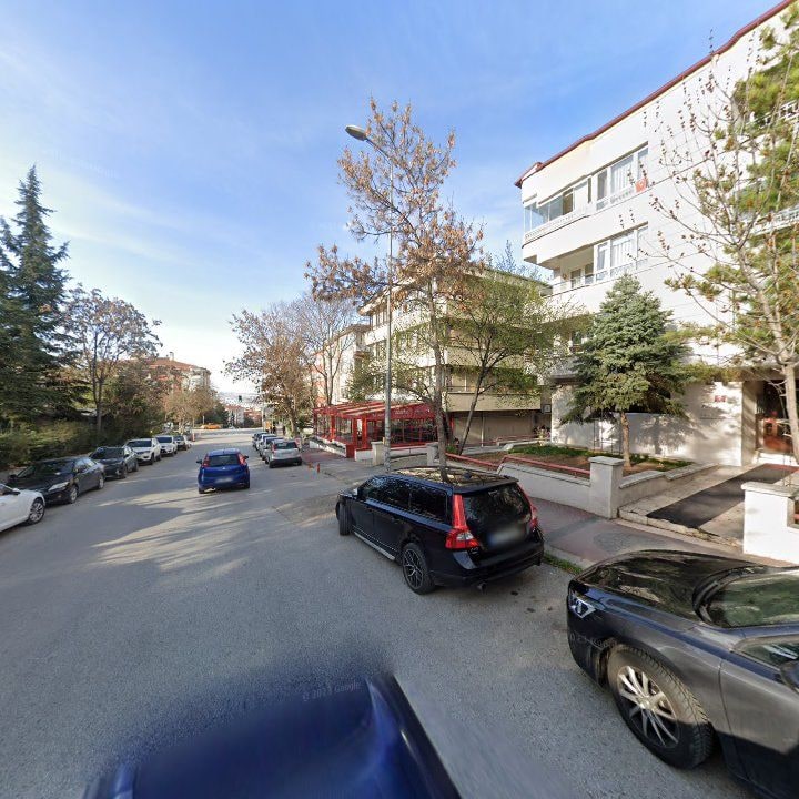 Fotoğraf 11