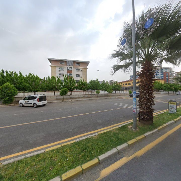 Fotoğraf 7